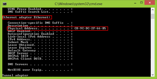 Command Line Interface, Results of Query